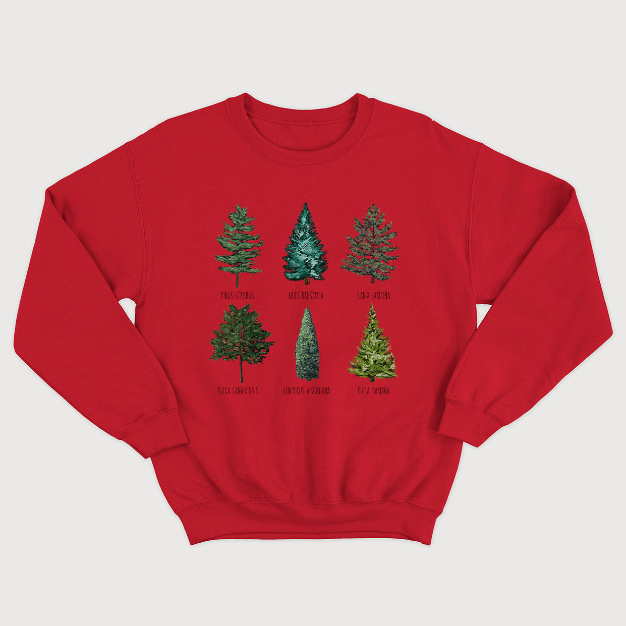 Crewneck LES CONIFÈRES unisexe - tamelo boutique