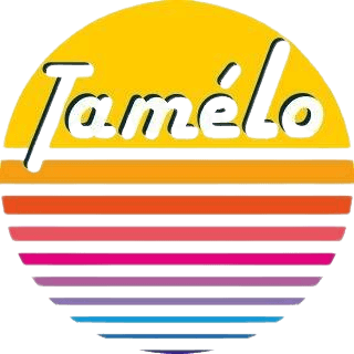 Tameloboutique store logo